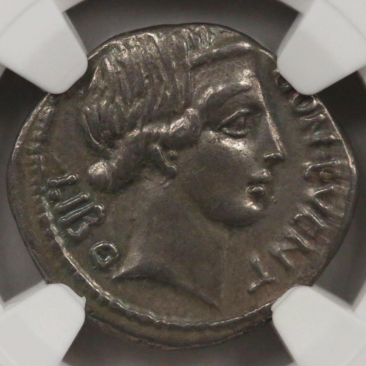 ローマ デナリウス銀貨 前62年頃 ボヌス・エウェントゥス NGC AU 5/5 4/5 - NJ BUYER'S MARKETPLACE