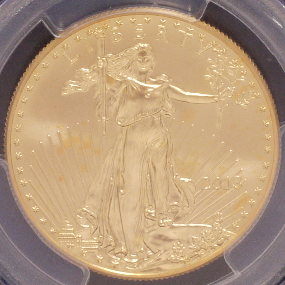 US -50 dollar gold coin 2013 Eagle PCGS MS70 FIRST STRIKE highest appraisal