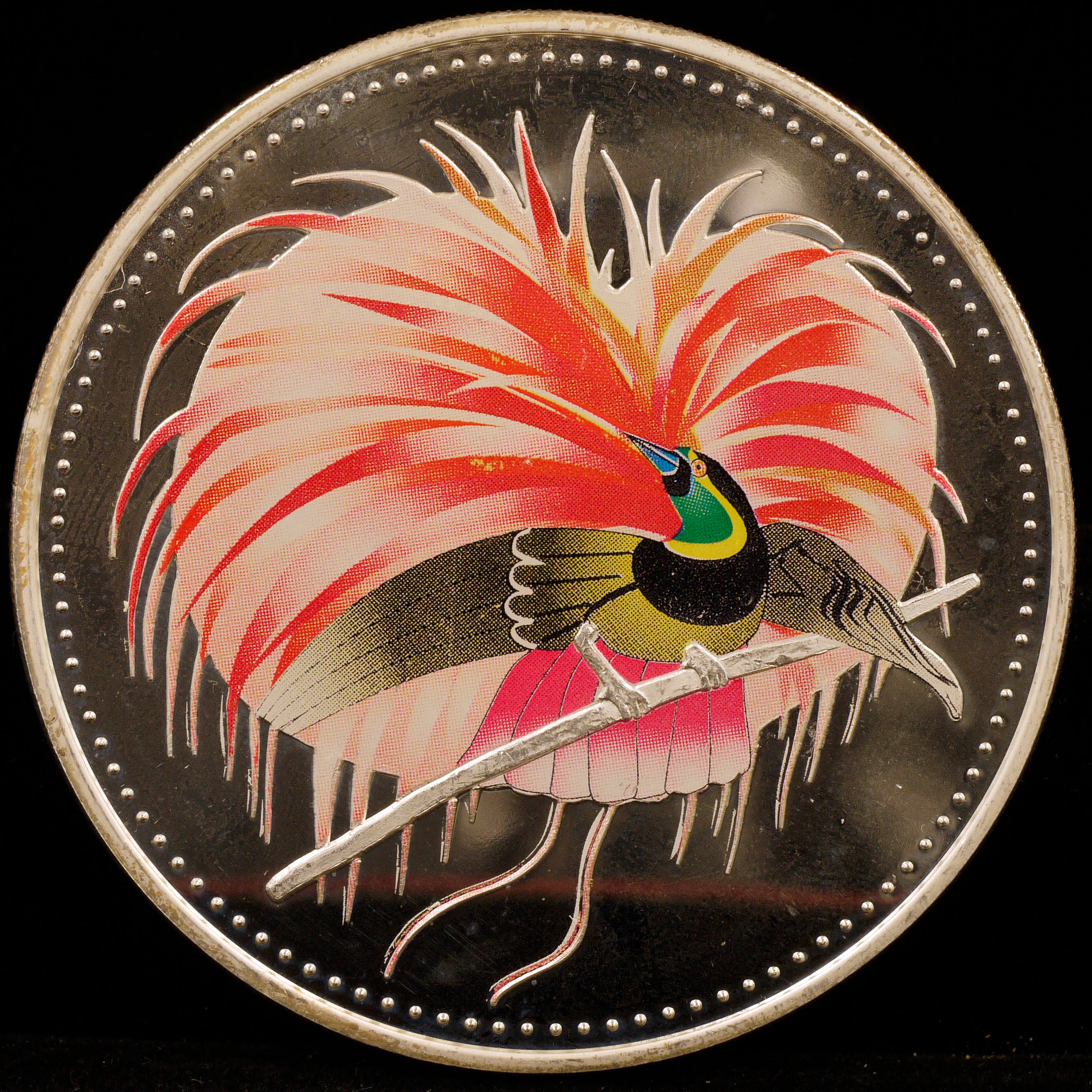 Papua New Guinea 25 Kina Silver Coins 1994 Extreme Raku Bird