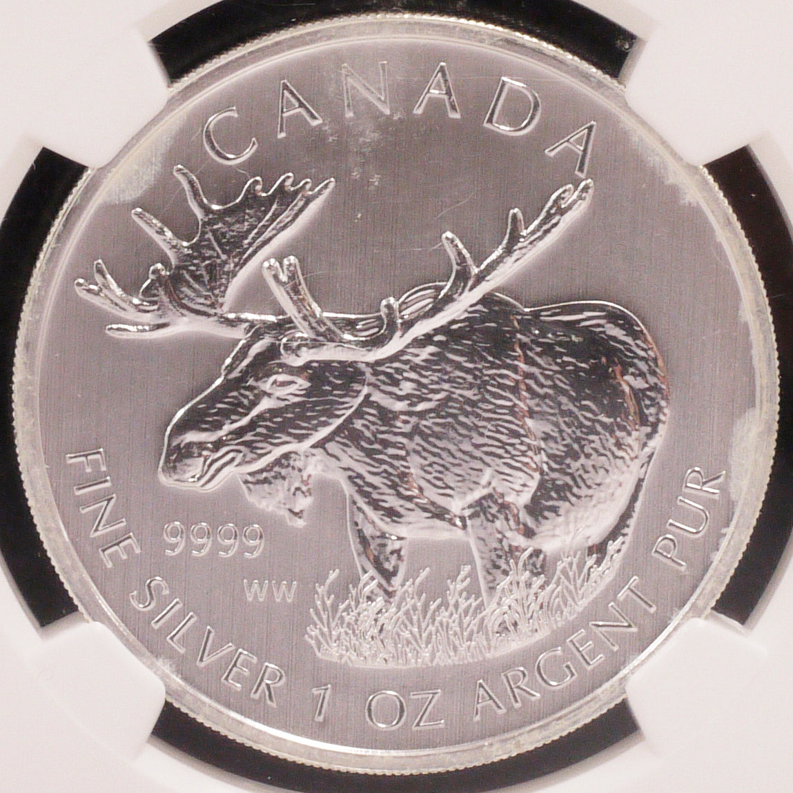 Canada 5 dollar silver coins 2012 Mousse NGC MS69 Early Release