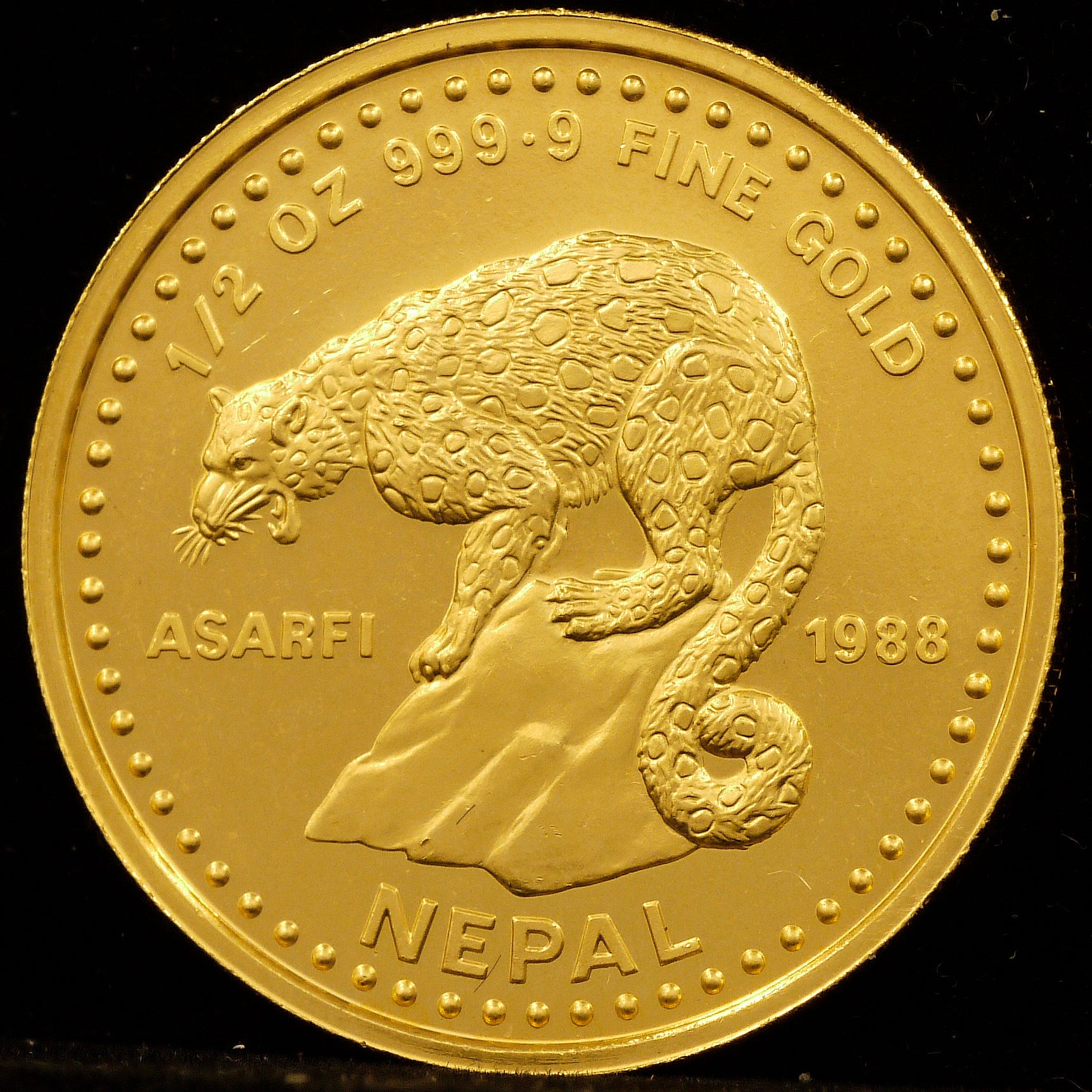 Nepal 1/2 Asalphy gold coin 1988 Leopard