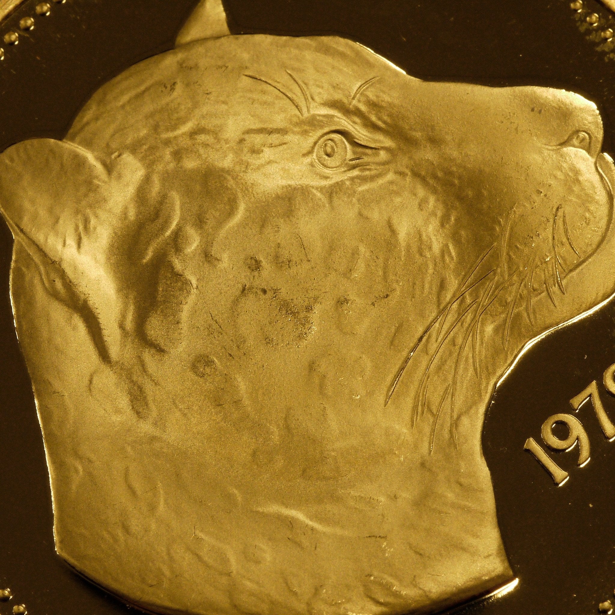 パナマ 500バルボア金貨 1979年 プーマ - NJ BUYER'S MARKETPLACE