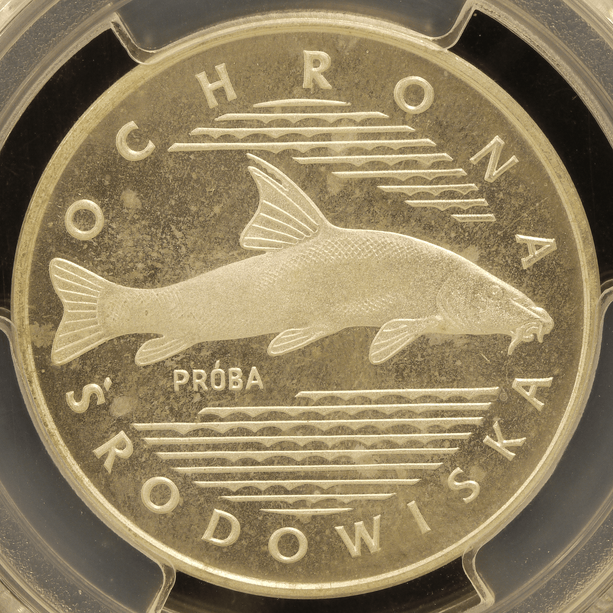 ポーランド　100ズオティ銀貨　１９７７ 古銭 ポーランド 100ズウォティ試作銀貨 1977年 ナマズ PCGS SP67｜NJ