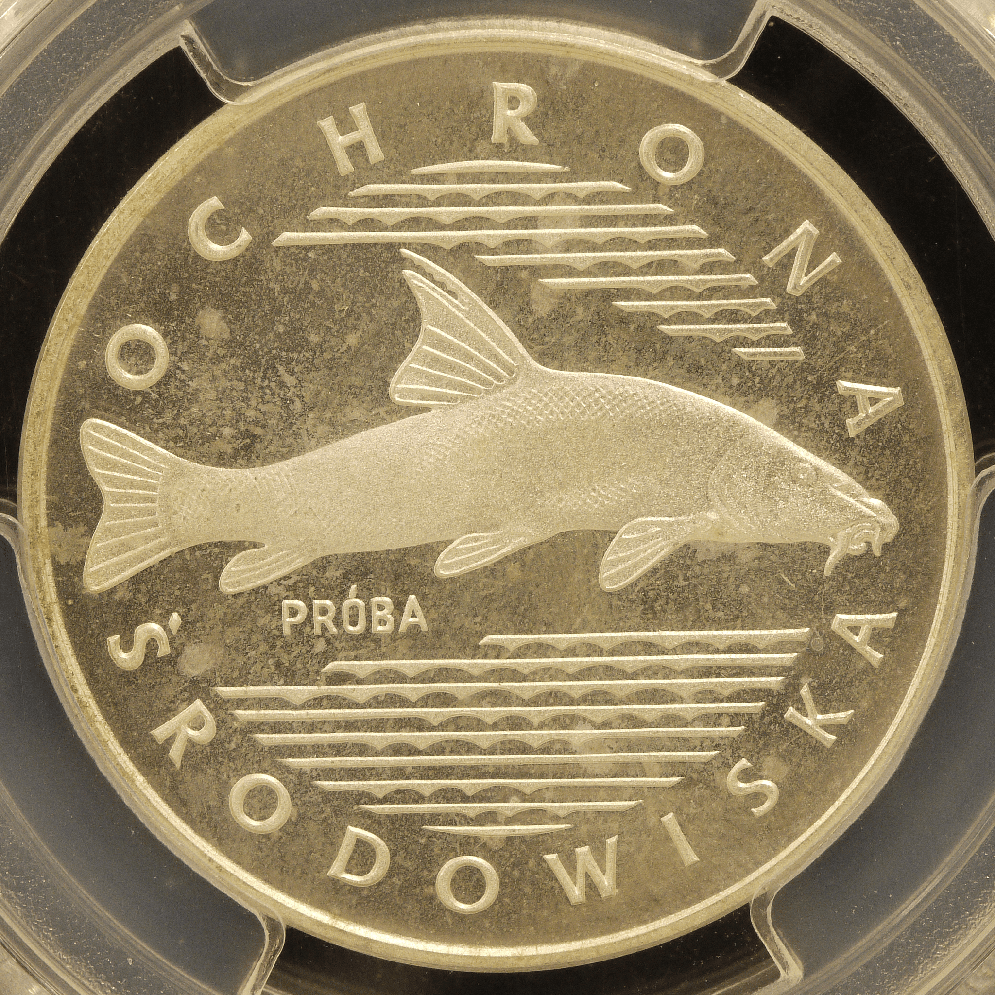 ポーランド 100ズウォティ試作銀貨 1977年 ナマズ PCGS SP67 - NJ BUYER'S MARKETPLACE